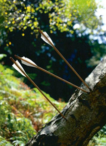 Forest Bowmen